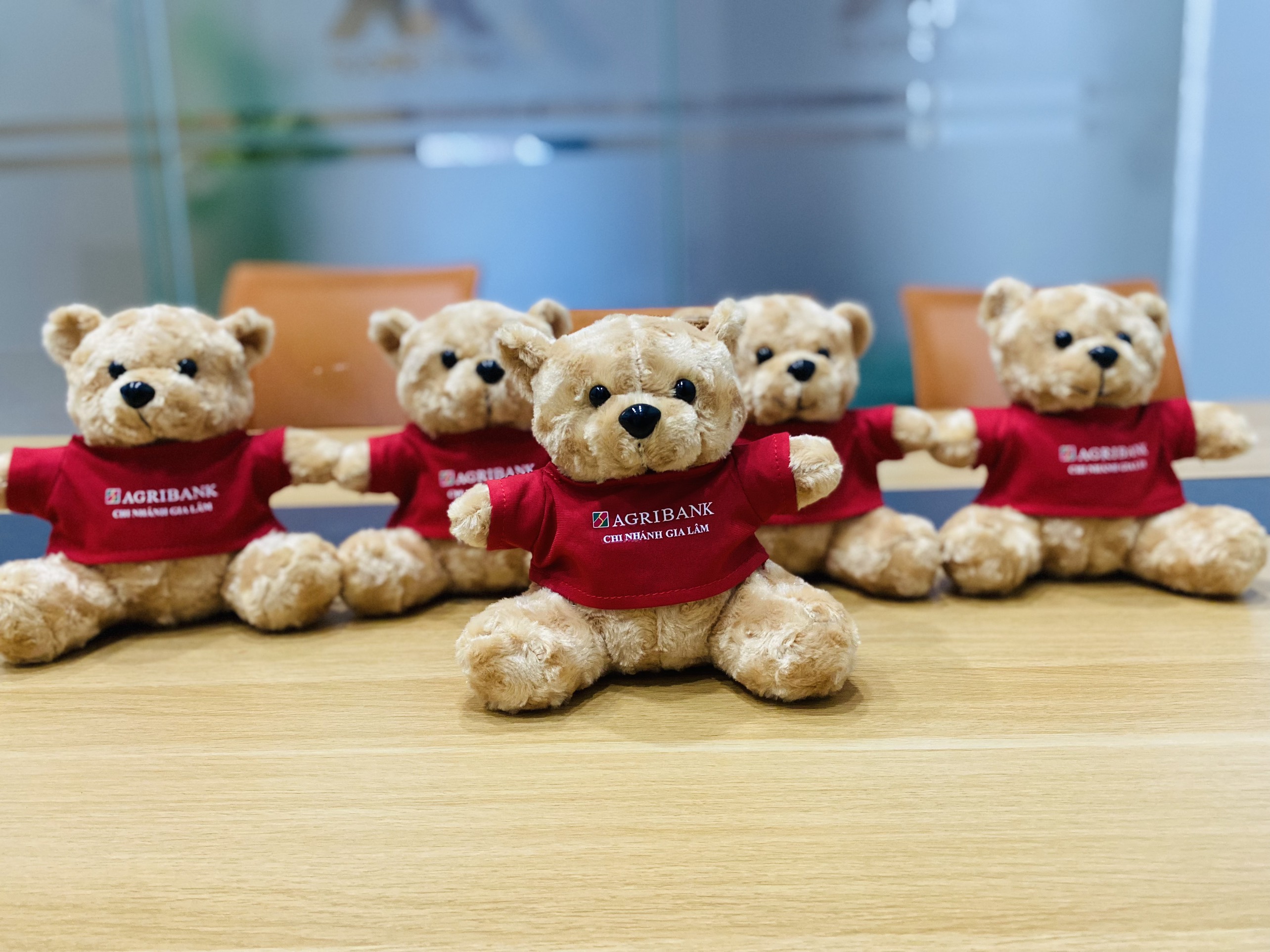Custom logo teddy bears the perfect corporate gift in Ho Chi Minh City