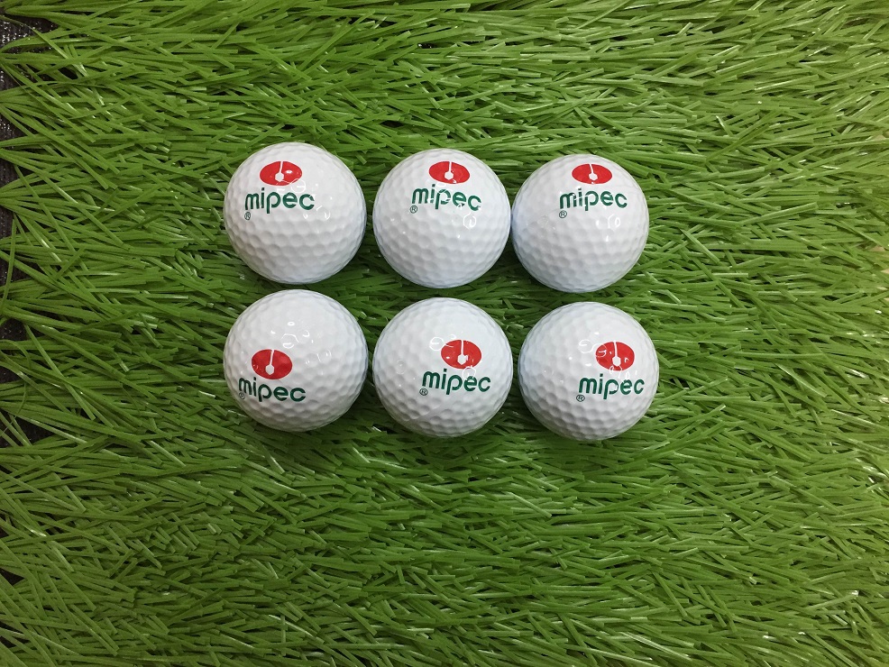 In logo bóng golf đối tác in ấn in cậy cho các giải đấu